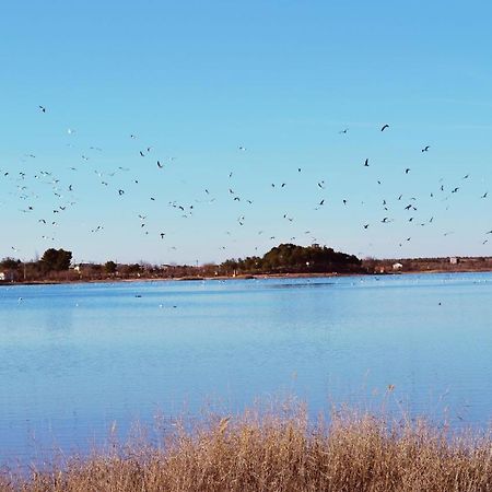 Albergue Los Patos Villafranca de los Caballeros Eksteriør bilde